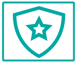 Schild Icon